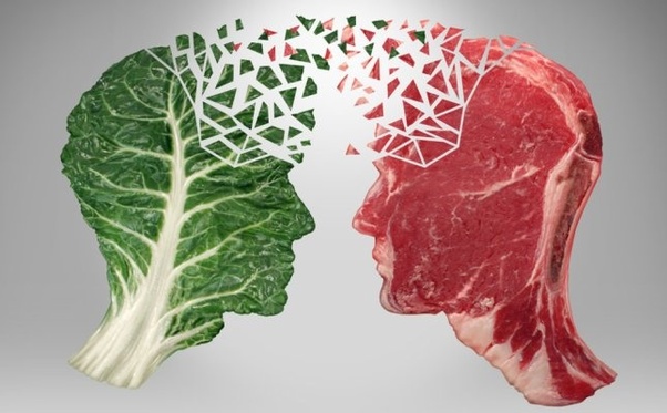 Is it better to be a Vegetarian or Meat-eater?